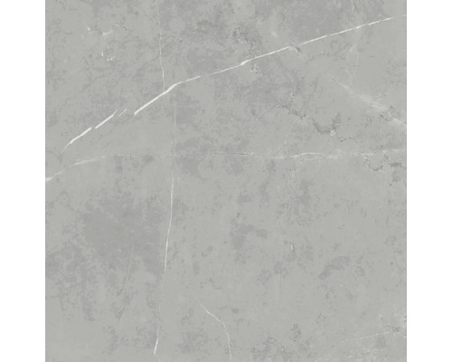 Steinzeug Wand- und Bodenfliese Davos grey 60x60x0.9 cm glänzend