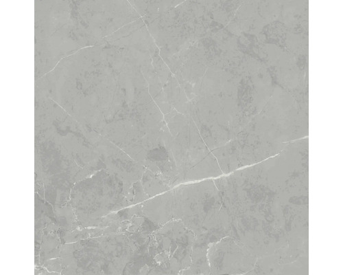 Graue Fliese mit Marmoroptik für Boden und Wand