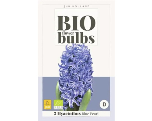 Bio Blumenzwiebeln Hyacinthus Blue Pearl