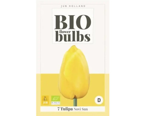 Bio Blumenzwiebeln Tulipa Novi Sun
