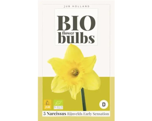 Bio Blumenzwiebeln Narzissen Rijnvelds Early Sensation