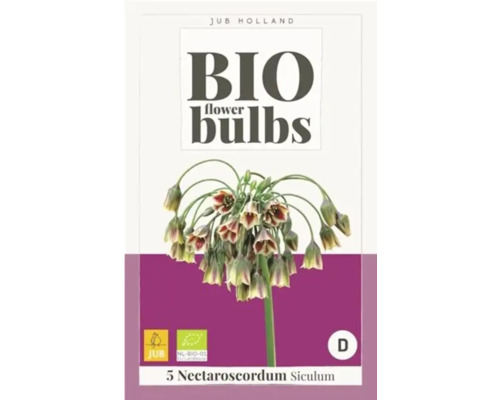 Bio Blumenzwiebeln Nectaroscordum siculum