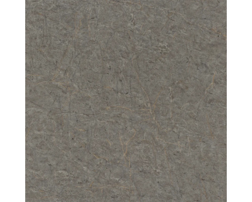 Carreau de marbre gris avec veinure naturelle.