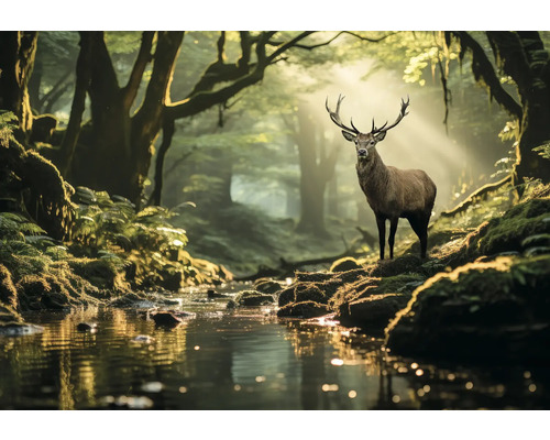 Leinwandbild Wild Deer 150x50 cm