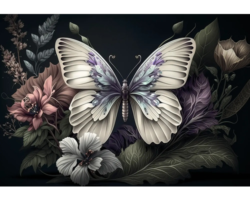 Leinwandbild Impressiv Butterfly 116x80 cm