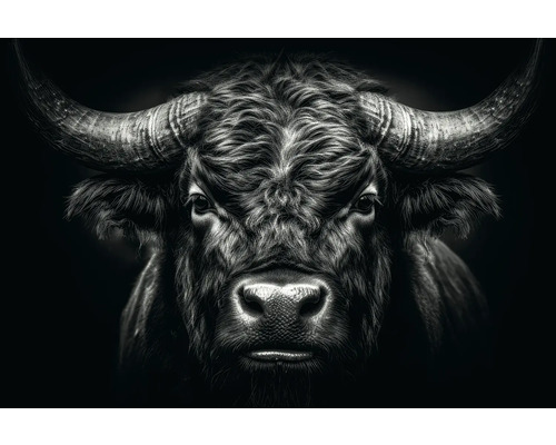 Leinwandbild Portrait of a Bull 150x100 cm