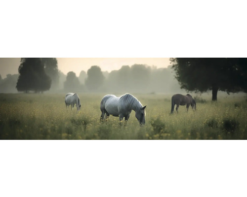 Leinwandbild Grazing Horses 150x50 cm