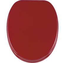 Toilettendeckel aus Kunststoff