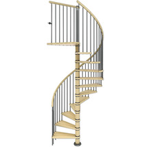 Wendeltreppe mit Metallgeländer und Holzstufen