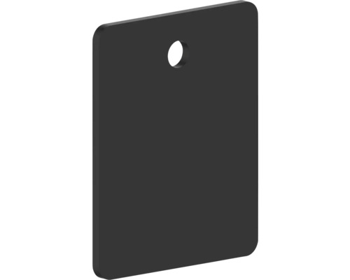 Plaque de montage REIKA Ovaro pour accessoires aimantés 40 x 50 mm noir mat Plaque rectangulaire en verre acrylique avec trou de forage