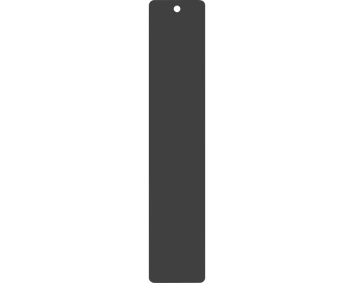 Plaque de montage REIKA Ovaro pour accessoires aimantés 250 x 50 mm noir mat Étiquette avec trou de suspension