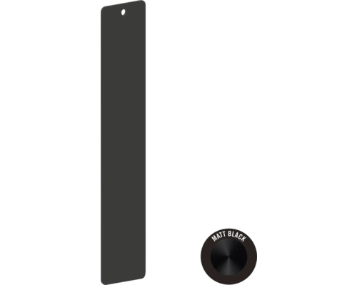 Plaque de commande WC noir mat