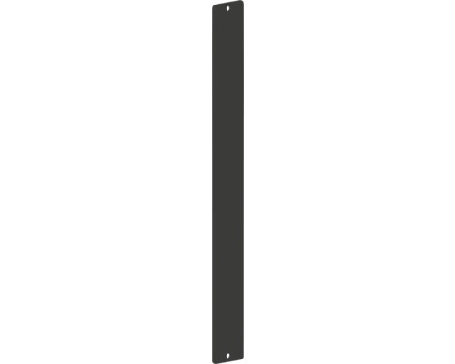 Plaque de montage REIKA Ovaro pour accessoires aimantés 457 x 50 mm noir mat Plaque de recouvrement avec deux trous