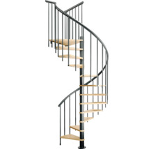 Escalier en colimaçon avec rampe en métal et marches en bois
