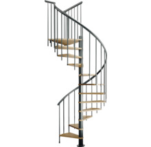 Escalier en colimaçon avec rampe en métal et marches en bois