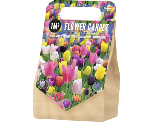 Blumenzwiebel-Mischung 'Velvet' mit Tulpe & Traubenhyazinthe 50 Stk. für 1 m² Blumenzwiebeln für einen Blütenteppich für 1 Quadratmeter, 50 Stück