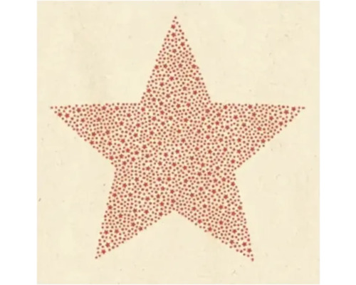 Serviettes 25 x 25 cm 20 pces Cocktail Star