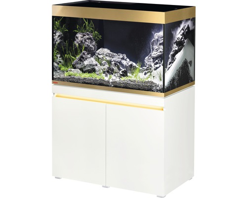 Ensemble d’aquariums EHEIM incpira 330 gold - édition limitée avec éclairage et meuble bas