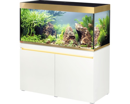 Aquariumkombination EHEIM incpira 430 gold - Limited Edition mit Beleuchtung und Unterschrank