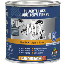 Boîte de laque acrylique PU de Hornbach