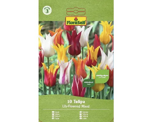 Blumenzwiebel Tulpe FloraSelf 'Lilienblütige Tulpen Mischung' 10 Stück