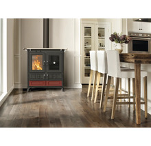 Wohnzimmer mit Kaminofen, Tresen und Barhockern