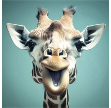 Gros plan d''une girafe