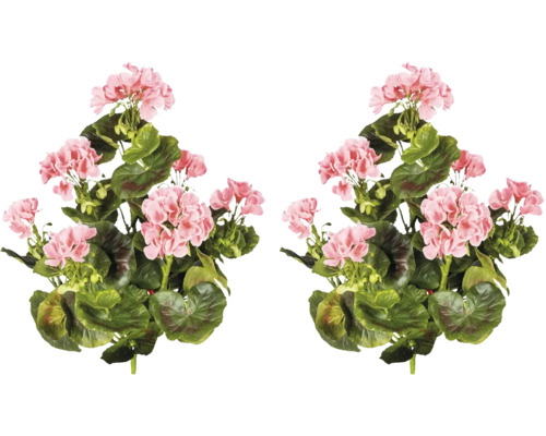 Deux bouquets de géraniums avec des feuilles