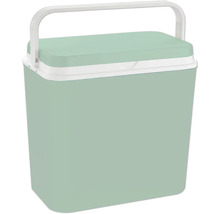 Glacière avec poignée de transport