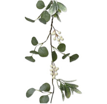 Guirlande d''eucalyptus avec des baies pour la décoration