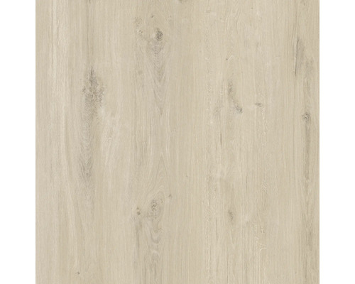 Sol vinyle SPC Pitt plancher de maison de campagne liaison clipsée 1220 x 180 x 6.0 mm