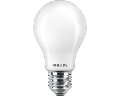 Ampoule LED A60 mate E27/10,5W(100W) 1521 lm 2700 K blanc chaud 2 pièces
