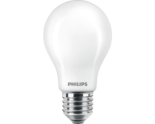 Ampoule LED A60 mate E27/4,5W(40W) 470 lm 2700 K blanc chaud 2 pièces
