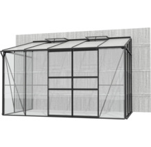 Serre Vitavia Ida 6500 verre de sécurité trempé / plaques alvéolaires 324,3 x 201,4 cm noir