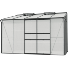 Serre avec panneaux en polycarbonate et fenêtres de toit
