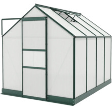 Gewächshaus mit offener Tür und Dachfenster