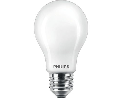 LED Lampe A60 matt E27/7W(60W) 806 lm 2700 K warmweiss 2 Stück