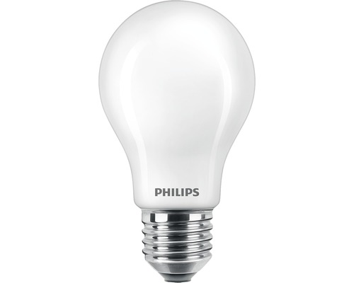 Ampoule LED A60 mate E27/7W(60W) 806 lm 2700 K blanc chaud