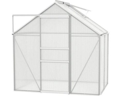 Serre avec porte ouverte et fenêtre de toit