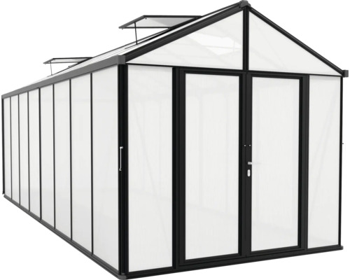 Gewächshaus mit Doppeltür und Dachfenstern