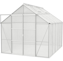 Serre avec cadre en aluminium et panneaux en polycarbonate