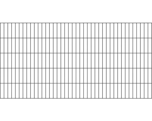 Doppelstabmatte ALBERTS 6/5/6 200 x 100 cm schwarz matt