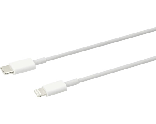 Câble USB-C vers Lightning