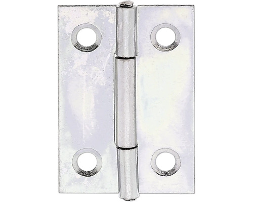 Charnière étroite avec tige en laiton rivetée, 38 x 26 mm galvanisation sendzimir Charnière métallique avec quatre trous de fixation