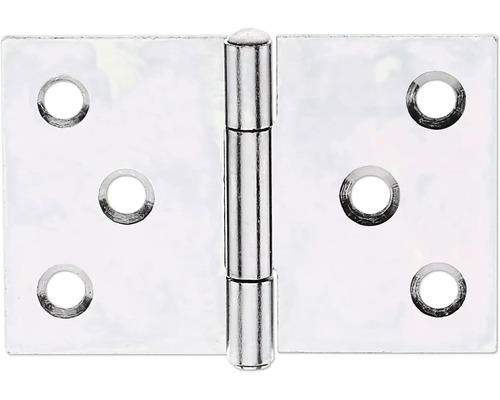 Charnière large avec tige en laiton rivetée, 40 x 60 mm, galvanisation sendzimir Charnière de porte en métal avec six trous de fixation