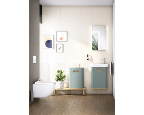 Modernes Badezimmer mit Hänge-WC, Waschtisch, Spiegel und Dekorationen