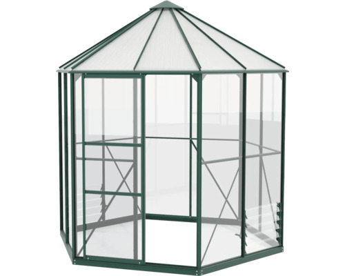 Sechseckiges Gewächshaus mit transparenten Wänden und Dach