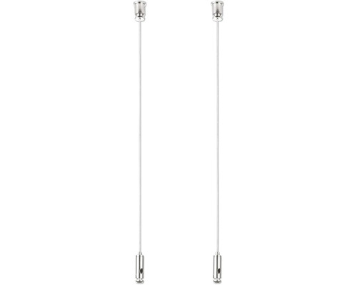 Deux suspensions de lampe en métal avec câbles transparents