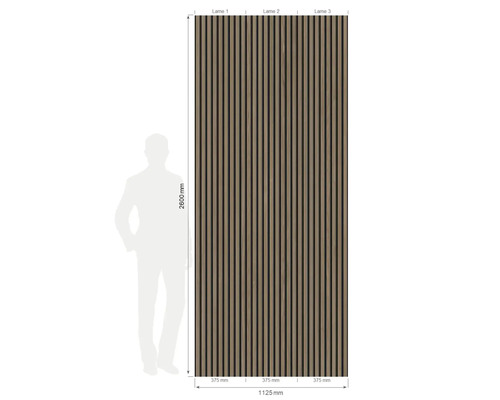 Illustration d''un revêtement mural à lamelles de bois avec indication des dimensions