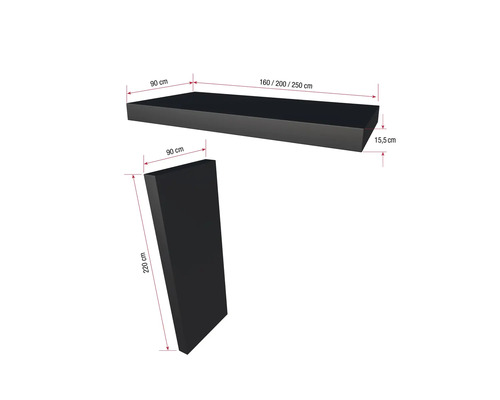 Produktbild mit Massangaben: Regalboden und Seitenwand mit den Massen 90 cm, 160/200/250 cm und 15,5 cm bzw. 220 cm.